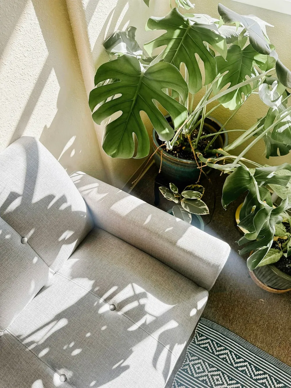 Fauteuil bij het raam naast een grote monstera